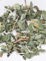 Nahaufnahme Bio-Kräutertee mit Hirtentäschel, Melisse und Frauenmantel für das Wochenbett